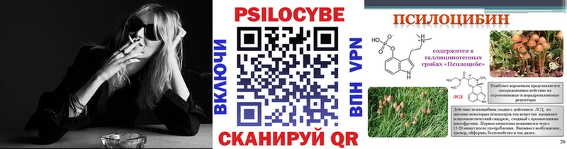 закладки Барнаул Галлюциногенные грибы мицелий